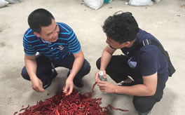 ���������I ��ӭ��h�͑􌍵ؿ���